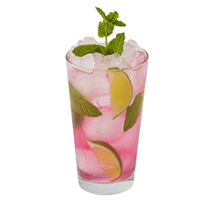 MOJITO PASSOA