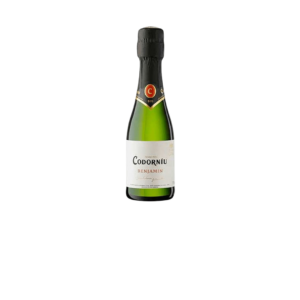 CAVA BENJAMIN BRUT 20 CL 1